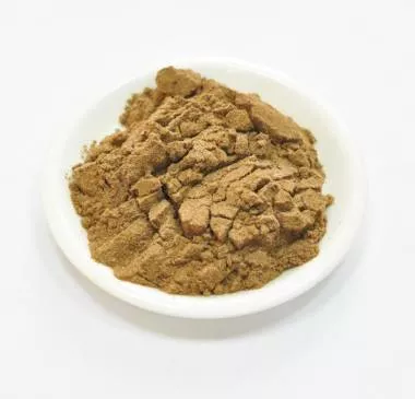 Сухой экстракт душицы (трава) (лат. Origanum vulgare)